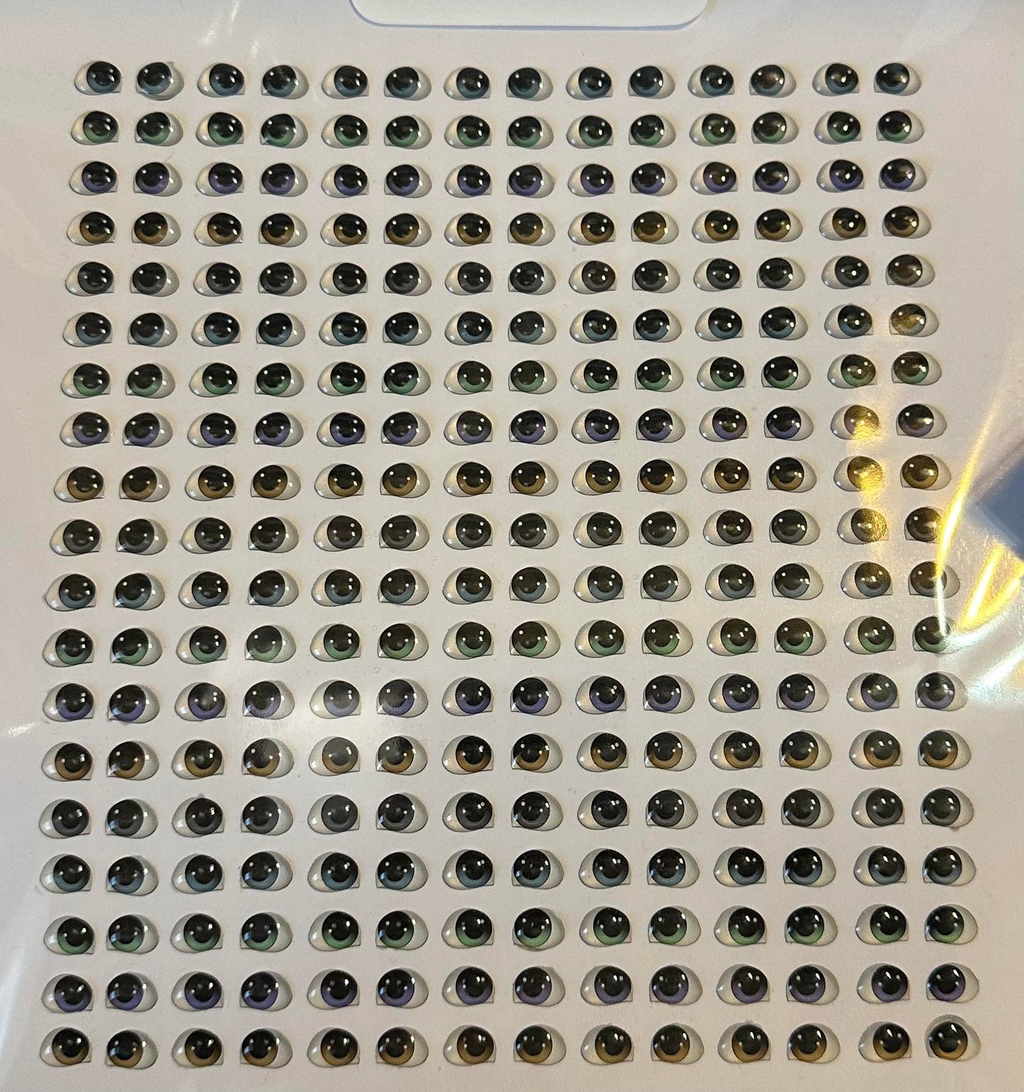 Ojos Resinados Mod 31 6mm EAM