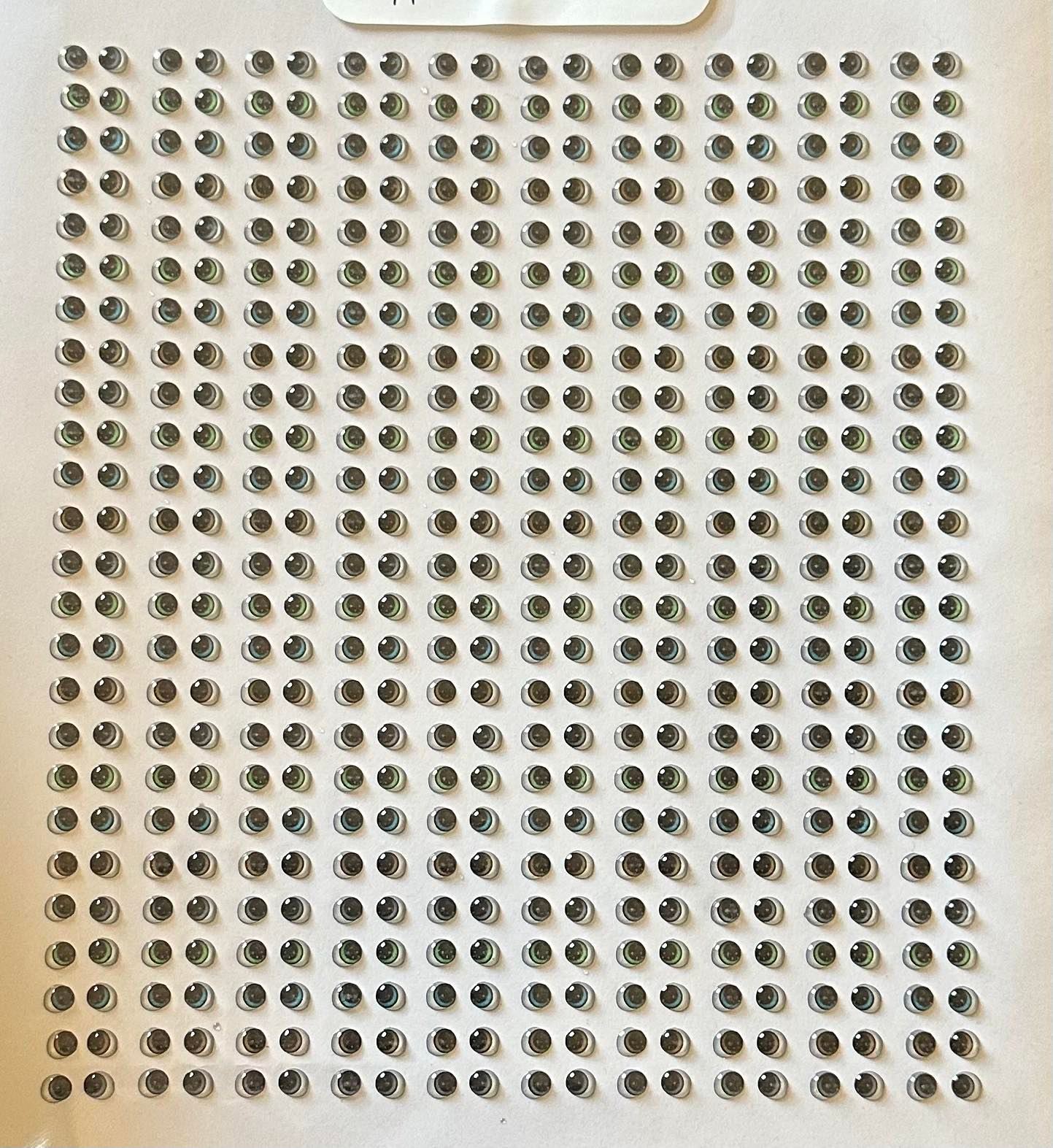 Ojos Resinados El Arte de Marci, Mod 56