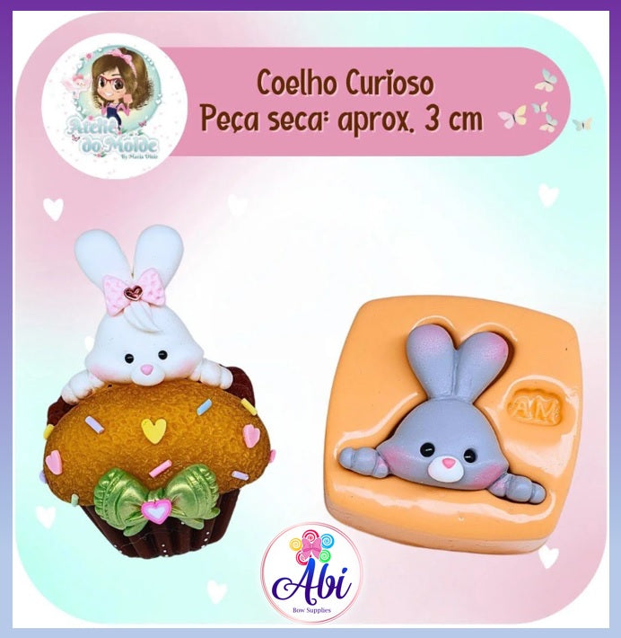 Molde de Silicon Coelho Curioso AdM