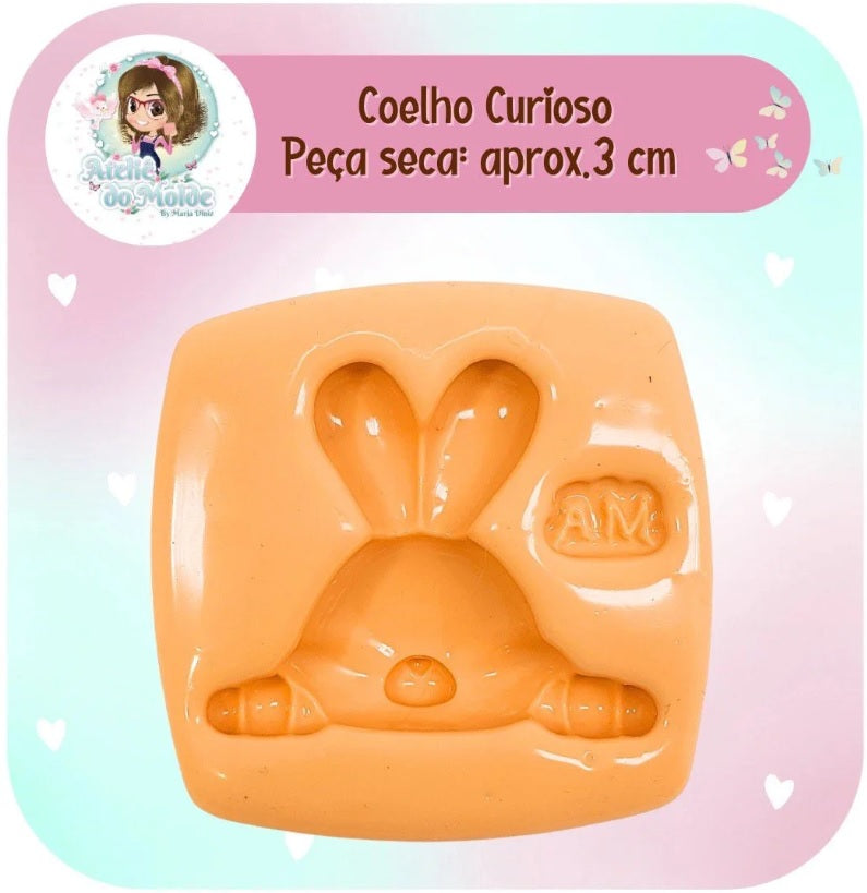 Molde de Silicon Coelho Curioso AdM